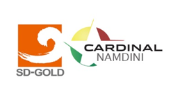 Cardinal Namdini Mining Limited