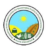 PROSPER PROJECT, MOFA