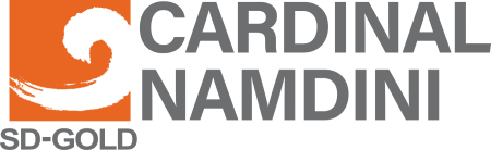 Cardinal Namdini Mining Limited