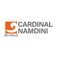 Cardinal Namdini Mining Limited logo