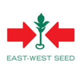 East West Seed Company